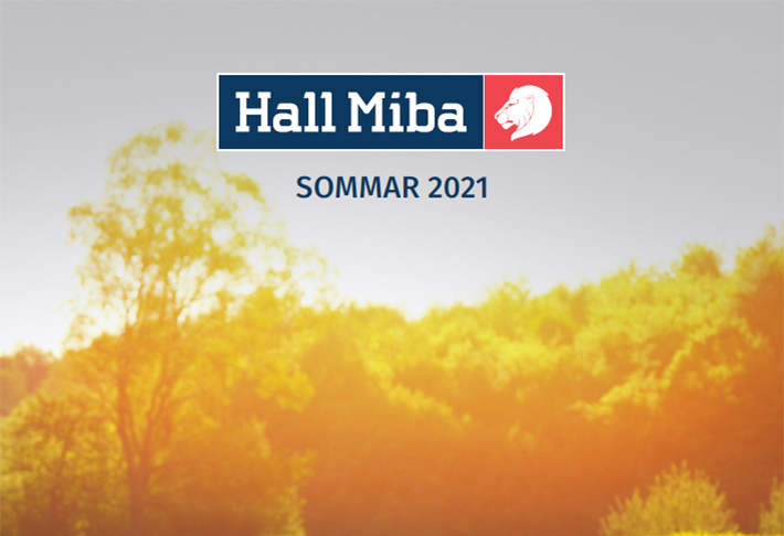 Exempelbild