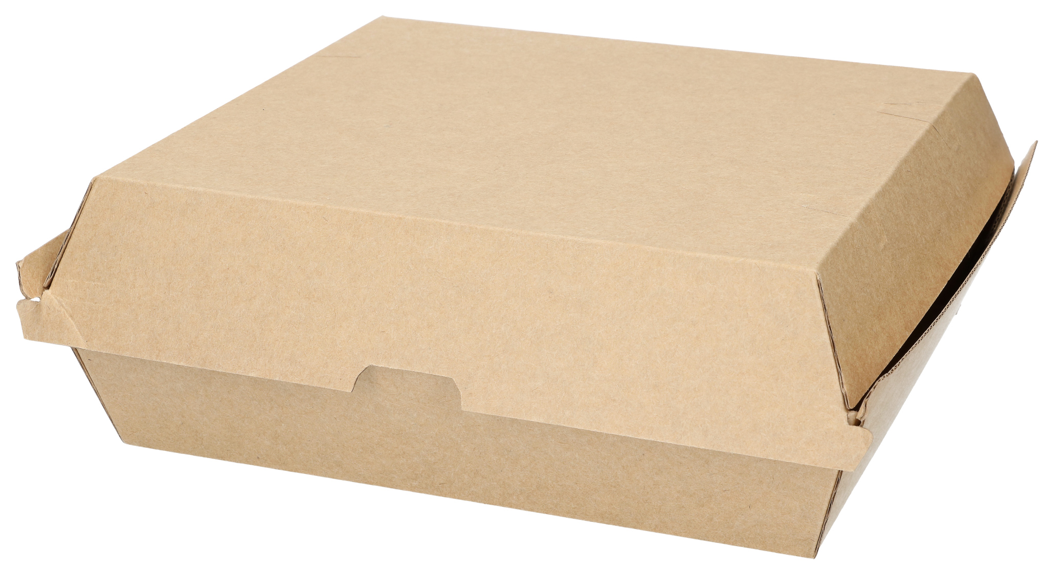 Take Away Box 20 X 18 X 7 5 Cm 150 St   0762102 1 