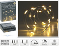 Ljusslinga 40 LED varmvit silvertråd