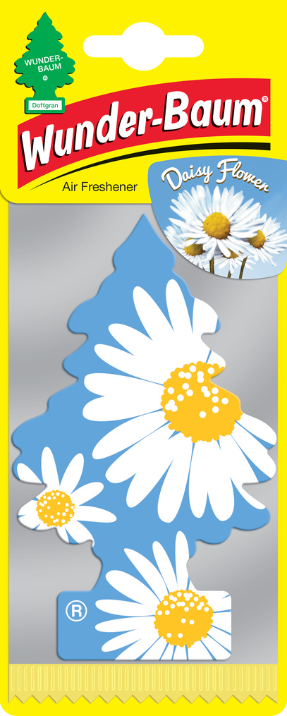 Doftgran Daisy Flower
