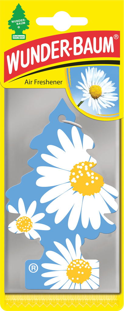 Doftgran Daisy Flower