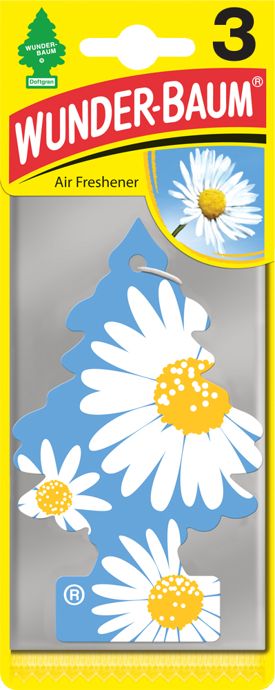 Doftgran Daisy Flower  3-p