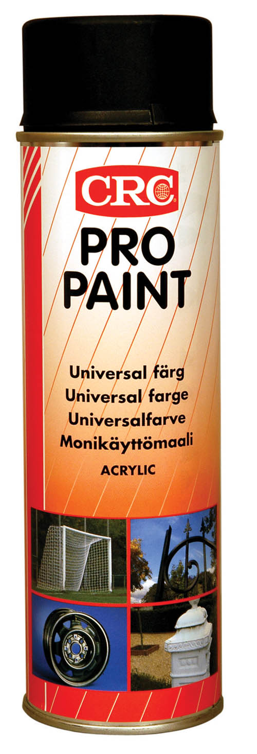 Sprayfärg Pro Paint svart matt 500 ml
