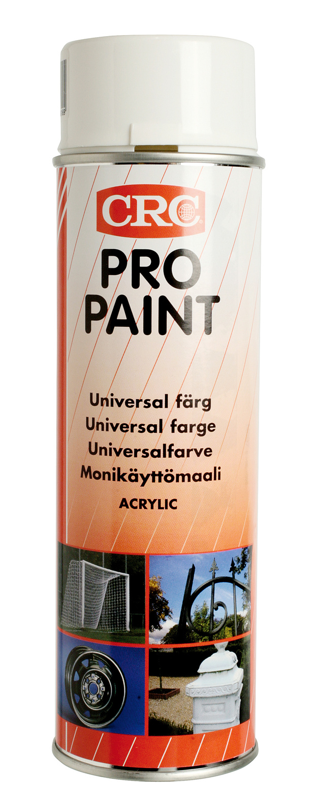 Sprayfärg Pro Paint vit blank 500 ml